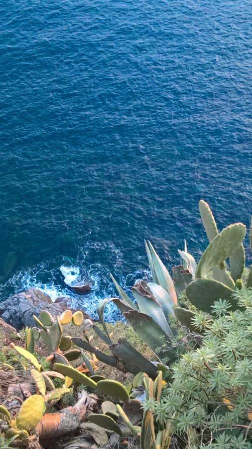 The Pearl Of 5 Terre - Monterosso Monterosso al Mare Exterior foto